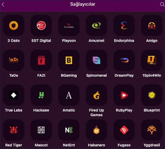 Sağlayıcı listesi Altı sütunlu Sağlayıcılar listesi üst sırada 3 Oaks, EGT Digital ve Playson, dördüncü sırada Red Tiger, Mascot, NetEnt ve Habanero var.