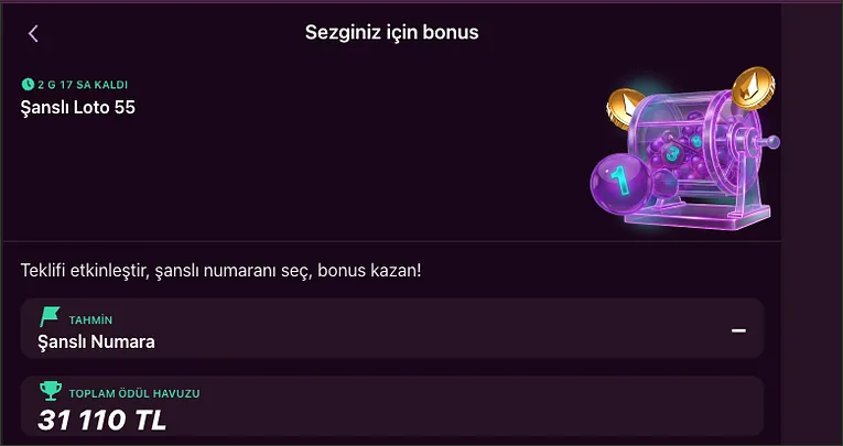 Şanslı Loto 55 teklifinde 2 G 17 SA KALDI sayacı, çekiliş makinesi çizimi ve 31 110 TL toplam ödül havuzu görünüyor.