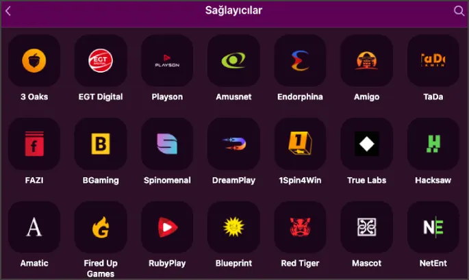 Stüdyo logoları Sağlayıcılar ekranında 3 Oaks, EGT Digital, Playson ve Amusnet dahil birçok oyun stüdyosunun logosu karo halinde dizilmiş.